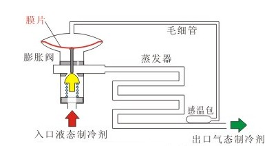 內平衡式F型熱力膨脹閥結構圖